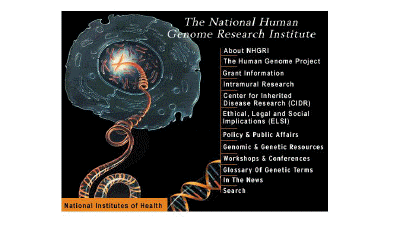 GENOME.gif (25455 bytes)